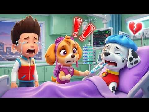 OMG… Marshall Is In Hospital! What Happened?! Sad Story | PAW Patrol Ultimate Rescue | Rainbow 3