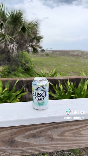 #beachbeers #beach #beer #america #florida #jacksonville #busch #beertiktok #foryoupage #fyp #brew #usa #buschlight