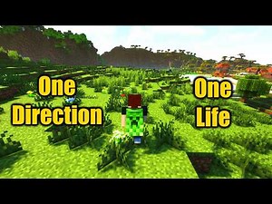 Walking in One Direction - a Hardcore Challenge