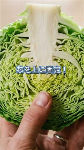 【保存版】30秒でプロ級！キャベツの千切り革命#キャベツの千切り #時短レシピ #料理の裏ワザ #ライフハック#時短家事