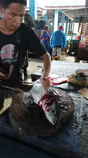 Fresh tuna cutting skills