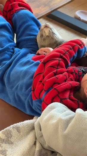 Charming Otters: A Daily Dose of Cuteness