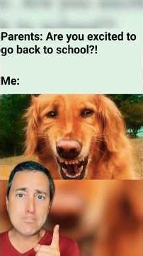 Back to School Memes