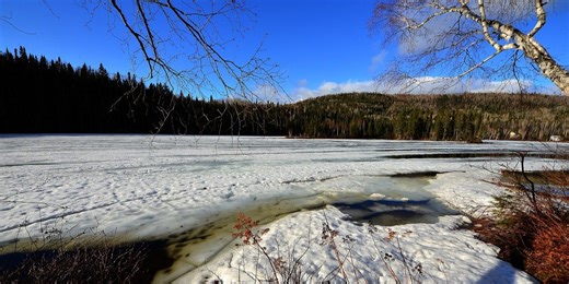 Розігріє до  5. Синоптики повідомили, де в Україні тиждень почнеться з потепління до весняної температури та де залишиться мороз -12