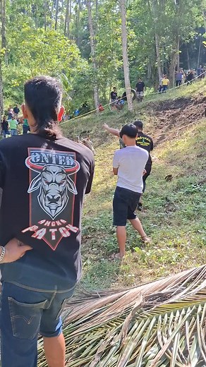 Nae ba lumpa-lumpa mar masih kurang beruntung #tanjakan pinaling #adventure roda sapi | Lampus Lampus