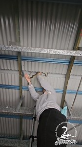 Carpet python in chandler. It wasn't stuck it was just enjoying a week long nap in the same spot | Harrison's Gold Coast and Brisbane Snake Catcher