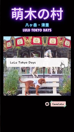 八ヶ岳の人気スポット！清里「萌木の村」を愛犬とお散歩