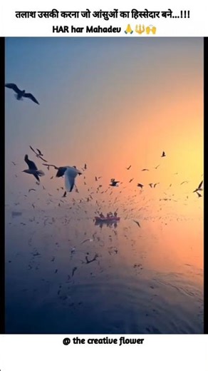 Kashi Vishwanath 🔱🧿🙌#Varanasi#harharmahadev #shortsfeed #shorts #ytshorts