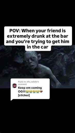 Exploring TikTok Memes with Memefactory301