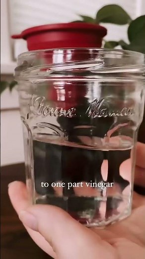 DIY Natural Window Cleaner ✨🍋✨ #greenliving