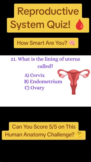 Reproductive System Quiz: Test Your Medical Knowledge