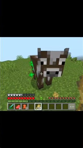 Poor cow😭 #minecraft #memes #funny #gaming #recommended