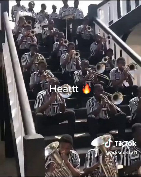 Another heat from adisco 🔥🦓regimentals #viral #adisadelcollege🖤🤍 #adisco4lyf #regimental