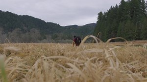 Man Carries Young Woman Over His Stock Footage Video (100% Royalty-free) 1095667041 | Shutterstock