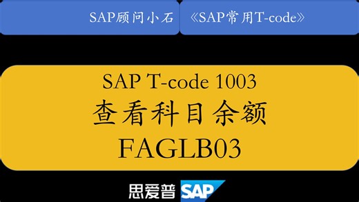 SAP常用事务码1003-FIGLB03