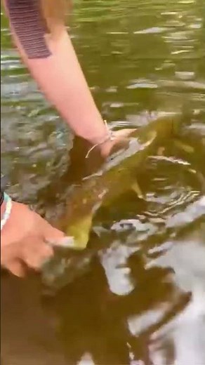 🚨College Track Star Catches-And-Releases Giant 28-Inch Inland River Brown Trout 🔥