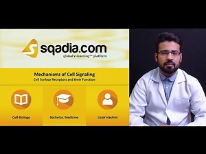 Mechanism of Cell Signaling | Cell Surface Receptors and Their Function