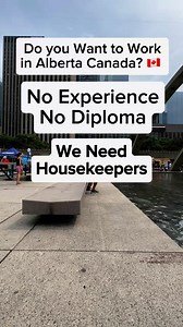 75K views · 263 reactions |  Hiring Domestic Housekeepers. https://www.canadacareersite.com/job/domestic-housekeeper-1437528-663-10198 | Zid Canada | Facebook