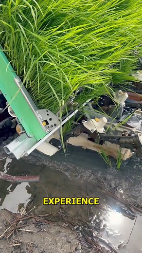 210K views · 510 reactions | Efficient Farming Techniques for Modern Agriculture. #FarmingInnovation #SmartAgriculture #ModernFarming #PlantingMachine #Agritech | Jogi Jokes | Facebook