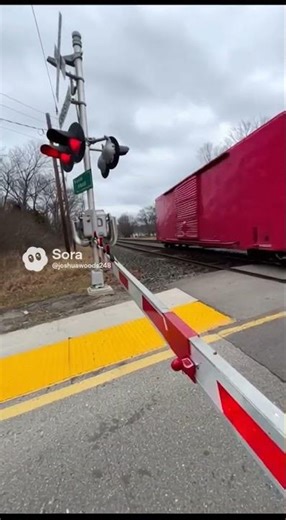 Rainbow colors boxcars train in La Plata, MO by the BNSF main #sora2 #bnsf #bnsfrailway #railcam