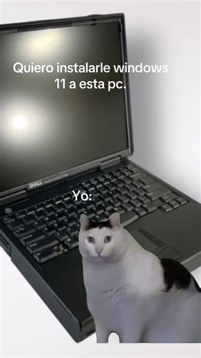 Instalación de Windows 11 en una PC: ¡Meme Explosivo!