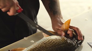 A first of its kind, revolutionary new product. Get yours today here: https://www.bubbablade.com/knives/multi-flex-interchangeable-set/1991724.html#start=1 | BUBBA