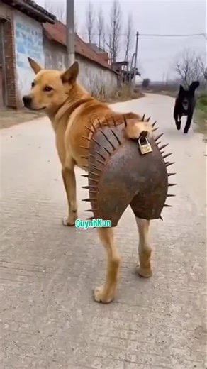 Exploring Robot Innovations and Smart Technology