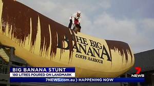 60K views · 531 reactions | Coffs Harbour's legendary 'Big Banana' has had a makeover. 180L of chocolate syrup was poured over the 13m landmark. Confectionery brand Allen's were behind the stunt, celebrating the launch of new Chocolate Bananas. www.7NEWS.com.au #7NEWS | 7NEWS Sydney | Facebook