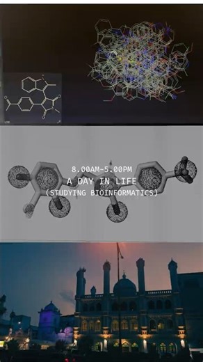 Day in the Life studying bioinformatics. #study #bioinformatics #unilife #uoc #stemlife #biology