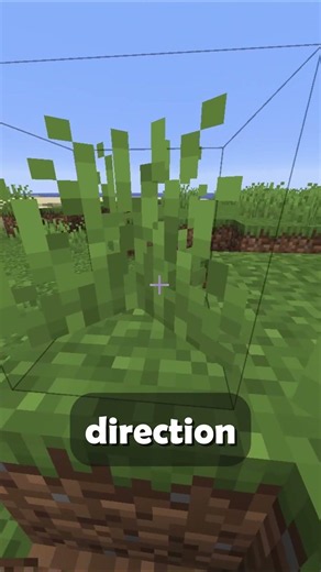 How to find the most rarest biome in minecraft #minecraft