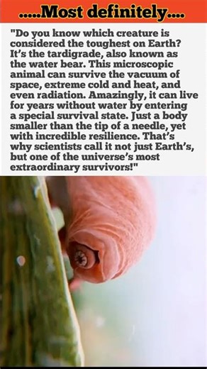 Tardigrades – The Indestructible Micro-Animals! 💧🪱💀