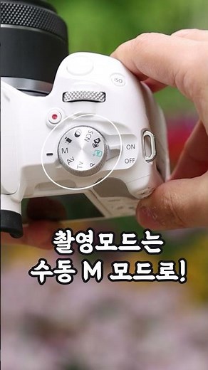 렌즈교환식 카메라를 사용하는 이유 #rf렌즈 #캐논카메라 #캐논 #camera #photography