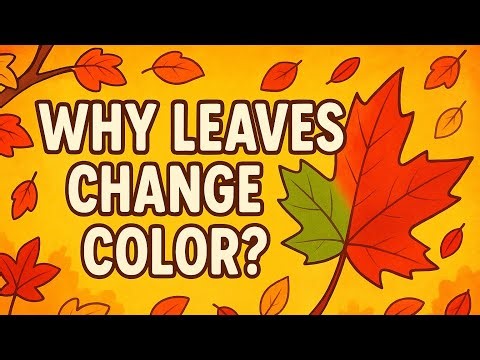 Why Do Leaves Change Color in Autumn? 🍂 | Easy Science for Kids