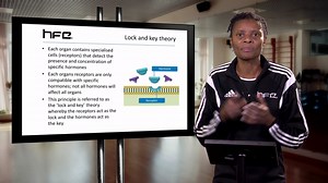 34 - Lock and Key Theory