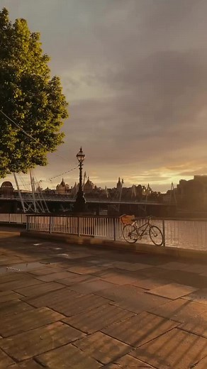 Favorite spaces to hide a mental breakdown #fyp #elizabethfilips