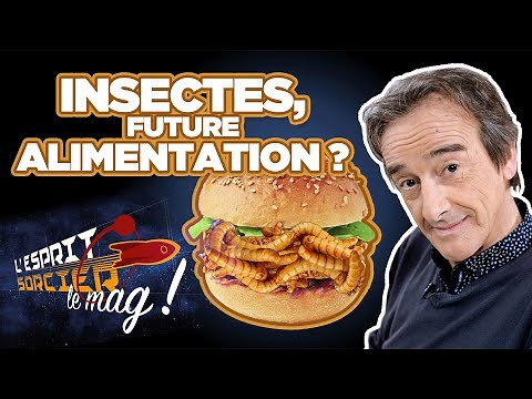 Insectes : le repas de demain - L'Esprit Sorcier, le mag avec Fred Courant