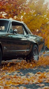 62K views · 3.1K reactions | Simplemente Mustang  | Total Mustang | Facebook