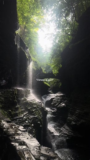 Watkins Glen State Park: Stunning Hiking Spot for Summer Vacations