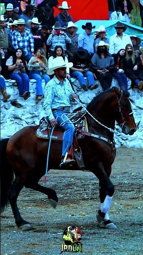 El Junio Tabarin Hernández En Tendeparacua Michoacán