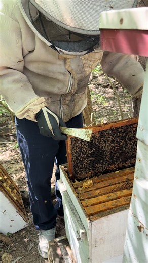 Beekeeping Girls Find New Homes After Road Trip