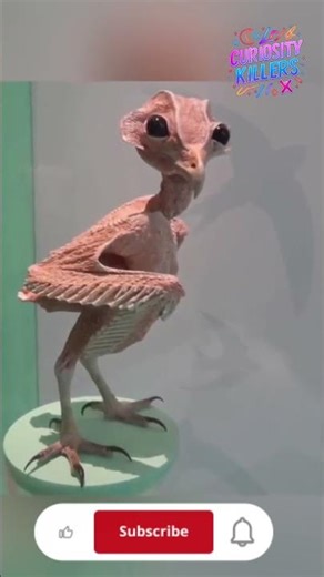 You Won’t Believe What an Owl Looks Like Without Feathers! 😱 #unbelievablefacts #trending #funny