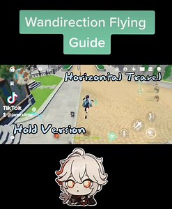 Wanderer Flying Guide