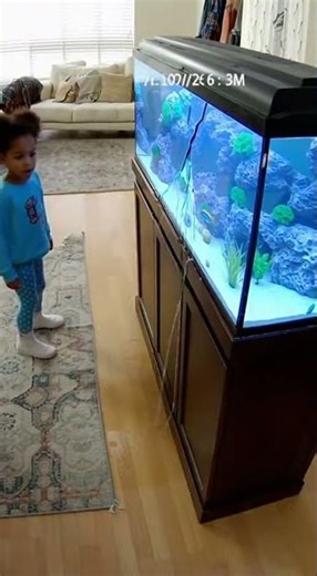 Aquarium Crack Panic… But It’s a Fake-Out!