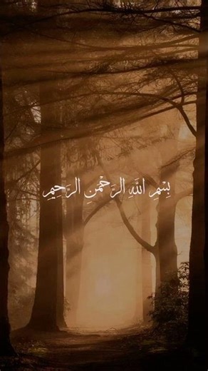 محمد صديق المنشاوي - سورة ق