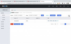 试验了一把官网的 solon cloud + nacos 示例