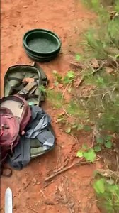 A Rare Crystal Cluster Found in the Wild!