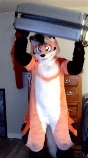 Teach your Barbarian table manner! #furry #fursuit #furrycommunity #dnd #dndtips