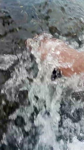 The Angad - Mythological He Man