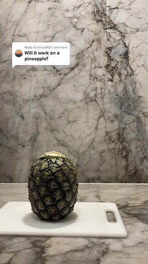 Matthew Peters on TikTok