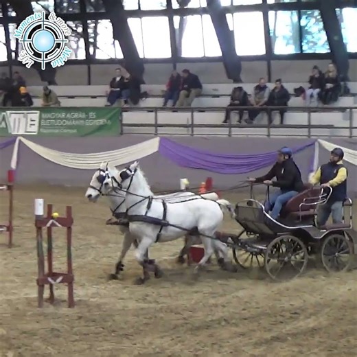Indoor Obstacle Driving from Kaposvár, March 2025